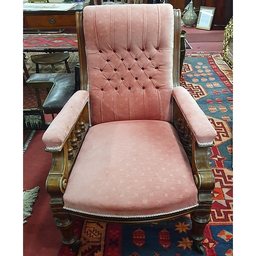 236 - A Late 19th Century Walnut show frame Armchair with Pink upholstery on turned supports. W 70 x SH 42... 