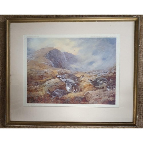 594 - A limited edition coloured Print after Archibald Thorburn of grouse in a Scottish highland scene. 57... 