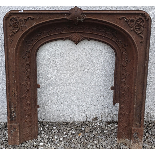 792 - A 19th Century Metal Fire Insert.