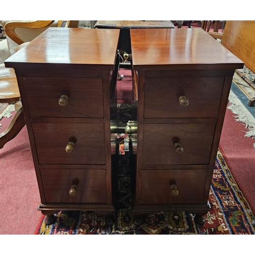 658 - A good pair of 19th Century bedside Lockers of narrow proportions. 
H 74 x W 32 x D 42 cm approx.