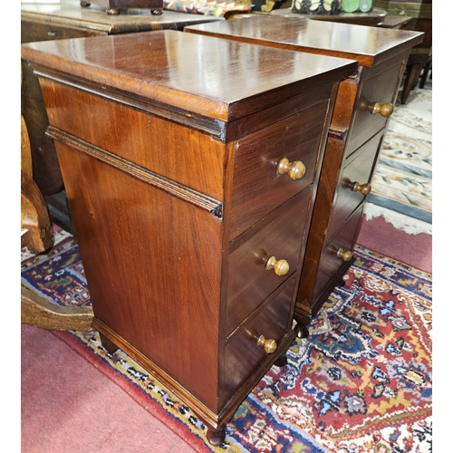 658 - A good pair of 19th Century bedside Lockers of narrow proportions. 
H 74 x W 32 x D 42 cm approx.