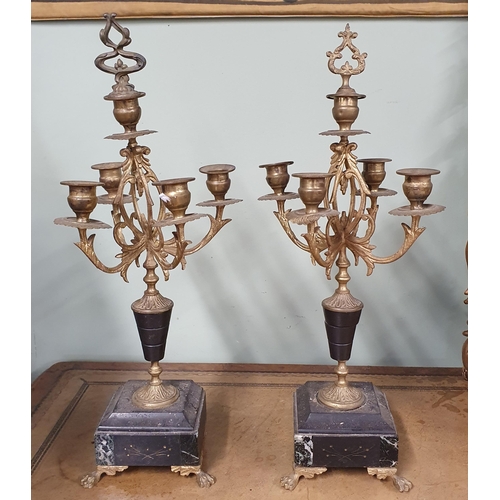 734 - A pair of 19th Century four branch Candelabra with marble basses. H 474 cm approx.