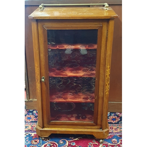 775 - An Edwardian Mahogany single door miniature display cabinet. H 89 x W 514 x D 34 cm approx.