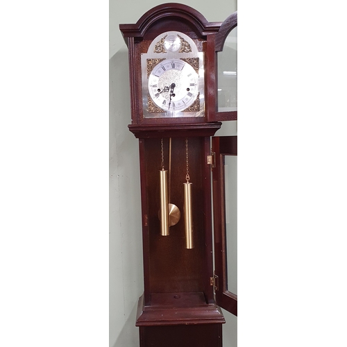 3 - A 20th Century Grandmother Clock. Tempus Fugit. With brass and steel dial and brass weights.
H 139 x... 