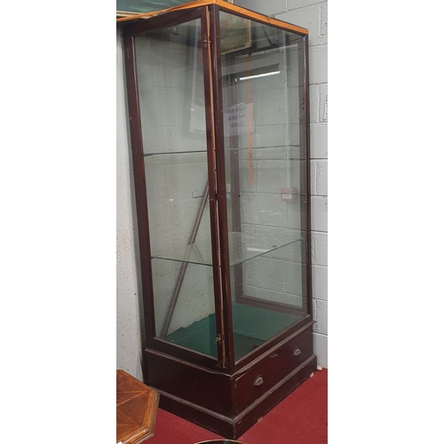 67 - A large 19th Century tall display Cabinet with single door. 95 x 62 x H 215 cm approx.