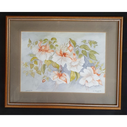 135 - G Mackreil, 'Springtime' a 20th Century Watercolour  of flowers in full bloom, signed LR.
20 x 28 cm... 