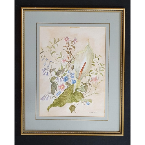 160 - Jean MacKreil. A 20th Century Watercolour still life of flowers. Signed LR. 29 x 21 cm approx.