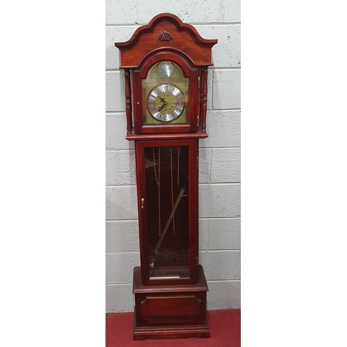 183 - A 20th Century Tempus Fugit Longcase Clock. W 50 x H 190 cm approx.