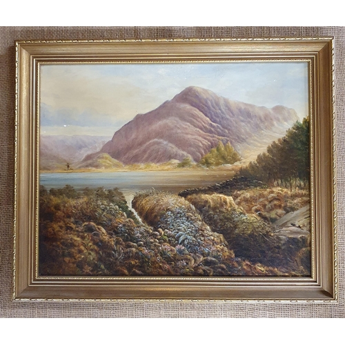 264 - A 19th Century Oil on Canvas of a mountainous landscape. No apparent signature. 40 x 50 cm approx.