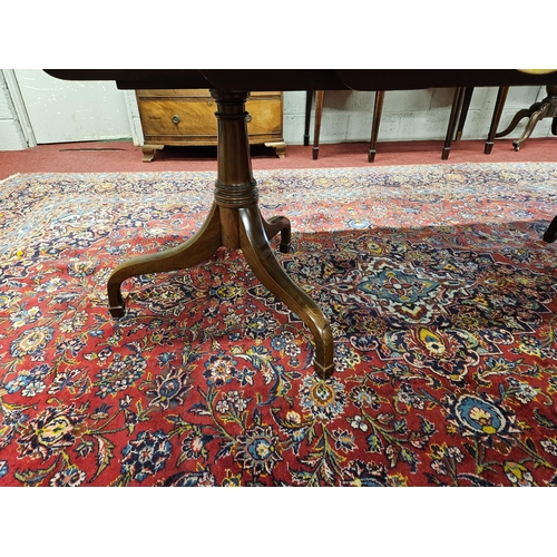 303 - An early 19th Century two Pillar Dining Table on tripod supports with twin leaves.
H 74 x W 233 x D ... 