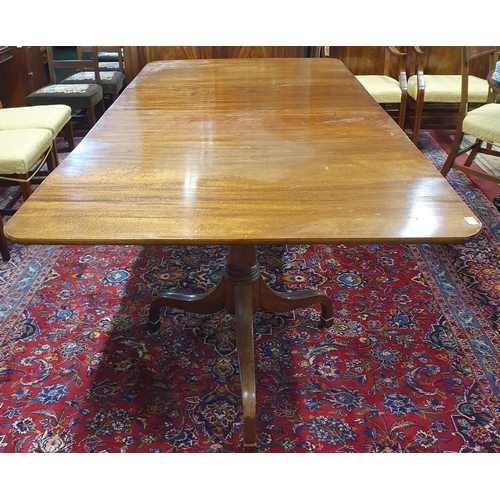 303 - An early 19th Century two Pillar Dining Table on tripod supports with twin leaves.
H 74 x W 233 x D ... 