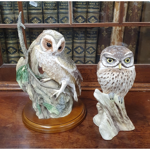 325 - A good quantity of Figures of Owls.