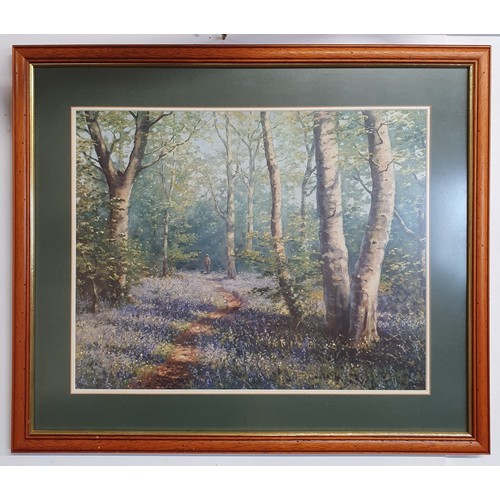 402 - A 20th Century coloured Print of a Man and his dog walking down a path through bluebells.
H 58 x W 6... 