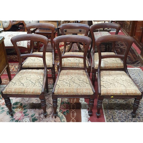 461 - A good set of six early 19th Century Mahogany Chairs of simple form on turned supports. W 46 x SH 42... 