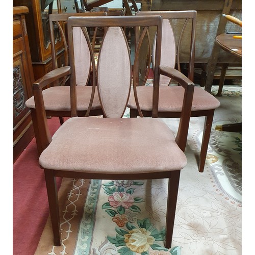 467 - A set of four of G Plan style Chairs with two chairs and two carvers. W 53 x SH 43 x BH 87 cm approx... 