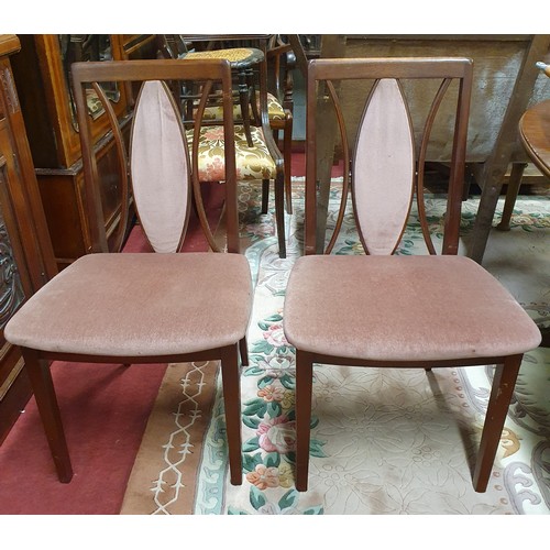 467 - A set of four of G Plan style Chairs with two chairs and two carvers. W 53 x SH 43 x BH 87 cm approx... 