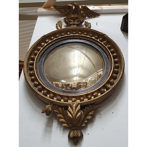 559 - A good early to mid 19th Century Plaster Timber Gilt convex Mirror with eagle surmount. H 90 x W 51 ... 