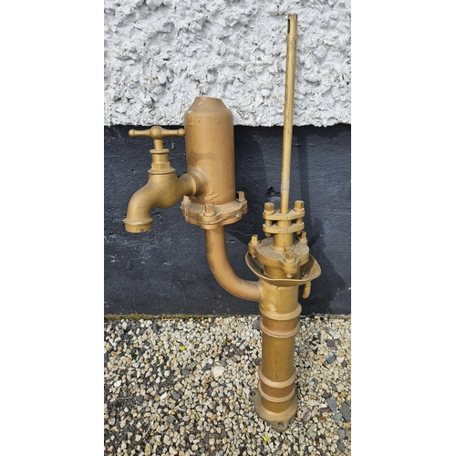 763 - An unusual late 19th early 20th Century Brass Pump. H 99 cm approx.