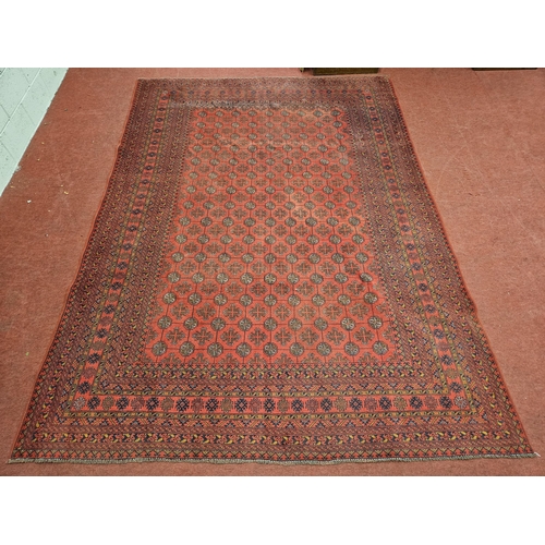 7 - A washed Red ground and woven Turkman Carpet with a traditional all over design.  337 x 245 cm appro... 