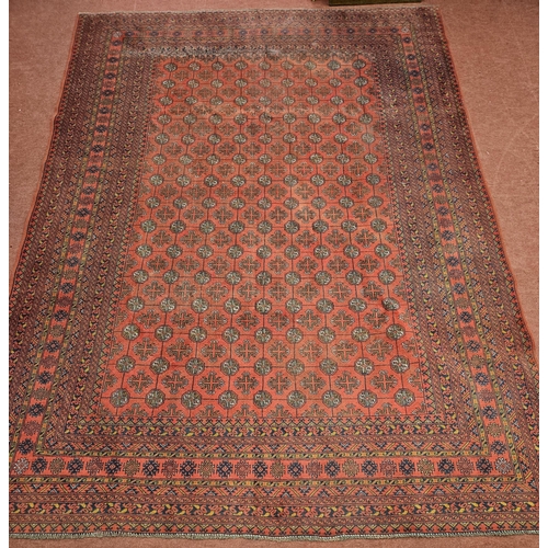 7 - A washed Red ground and woven Turkman Carpet with a traditional all over design.  337 x 245 cm appro... 