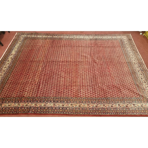 42 - A washed Red ground handwoven Persian Shahrukh Mia Carpet with an all over design.
L 348  x W 262 cm... 