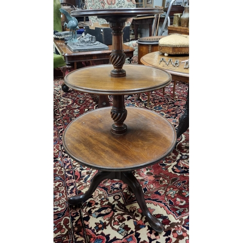 141 - An early 19th Century Mahogany three tier Dumb Waiter on simple tri-pod supports. H 100 cm approx.