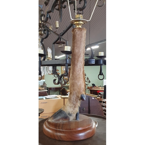 140 - An unusual Table Lamp depicting a deer's foot. H 37 cm approx.