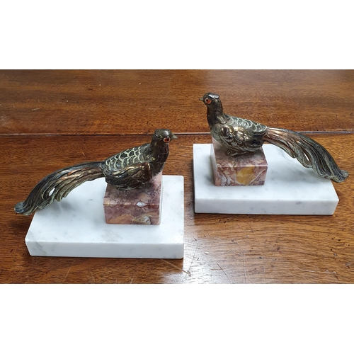 173 - A good set of 20th Century Bookends depicting Peacocks with hand painted decoration.