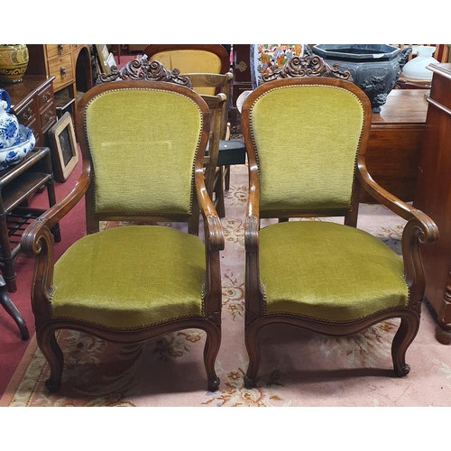 195 - A Fabulous pair of 19th Century Mahogany showframe Armchairs with carved cabriole front supports and... 