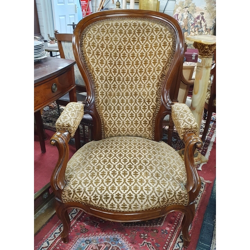 240 - A large 19th Century Mahogany showframe balloon back Armchair with cabriole supports and tapestry st... 