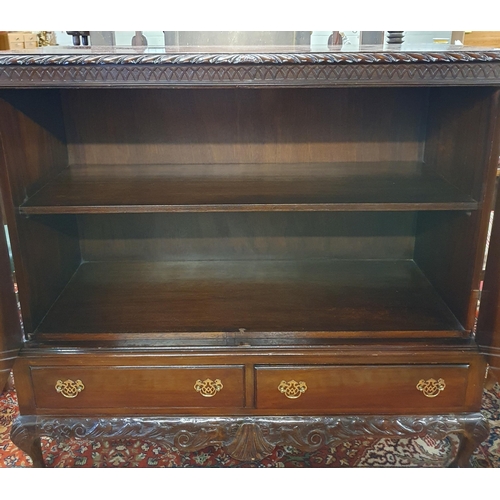 252 - A good early 20th Century Mahogany two door Side Cabinet on hairy paw feet with shell frieze and rop... 