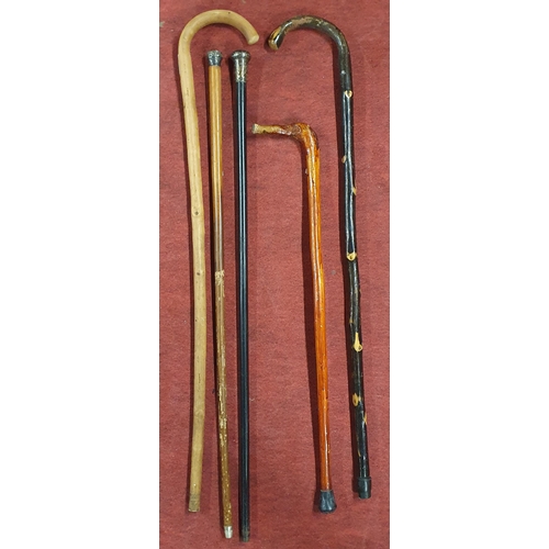 3 - A good quantity of Walking Sticks some silver topped along with vintage golf clubs.