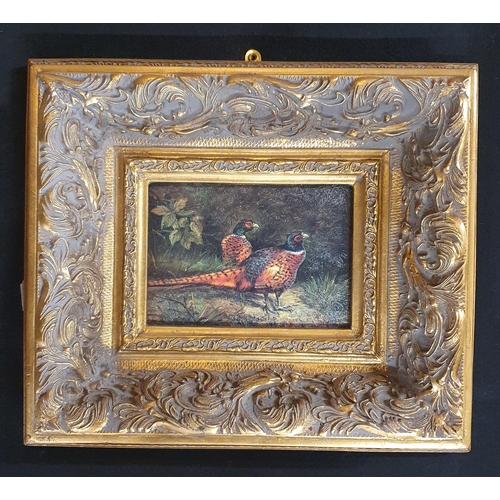 59 - A pair of Oils on Board of Pheasants after Archibald Thorburn in highly moulded and gilded frames. 1... 