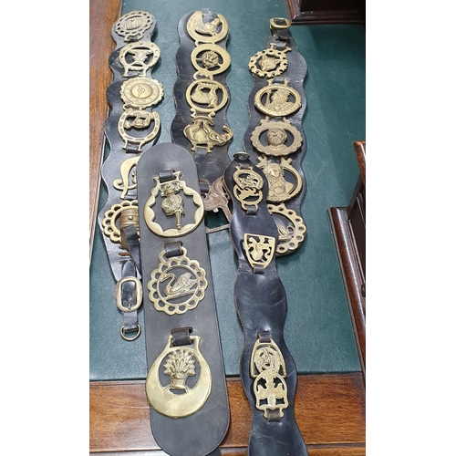 1381 - A quantity of vintage Horse Brasses. 
49 - 64 cm approx.