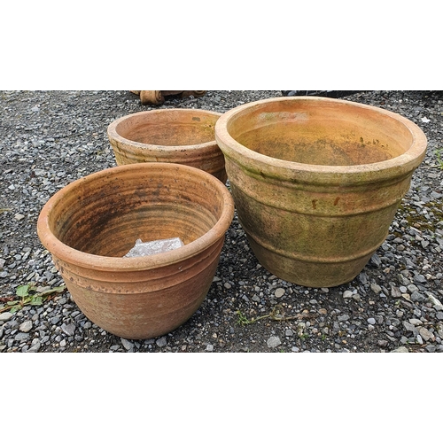 1407 - Three good Terracotta Pots. 
H 36 x D 46 cm approx.