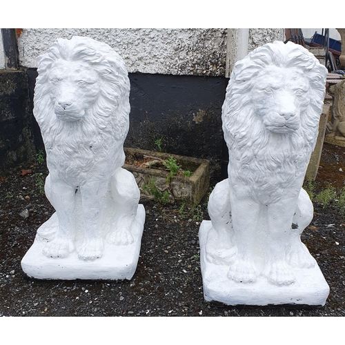 1430 - Two Stone figures of Lions in an upright pose.
H 87 x W 42 cm approx.