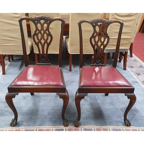 1547 - A lovely pair of 19th Century Mahogany Chippendale style Chairs with pierced outline and ball and cl... 