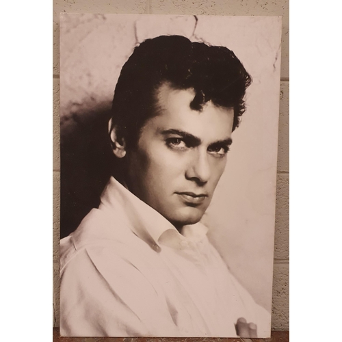 1561 - Tony Curtis Photo on Canvas, 51cm x 6cm approx.