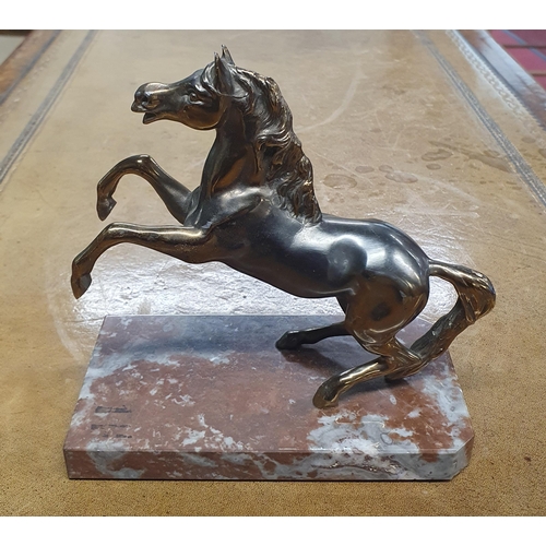 51 - A good Metal Figure of a rearing Horse with a marble plinth base. H 15 cm approx.