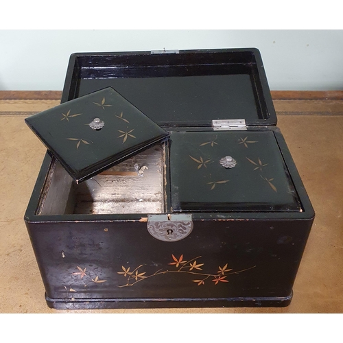 191 - Two 19th Century Oriental Items to include a hand painted decorated tea caddy and a hand painted pap... 