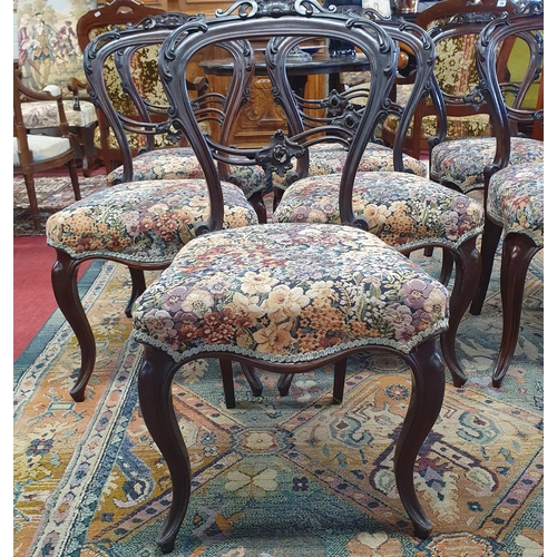 247 - A Superb set of eight 19th Century solid Rosewood Dining Chairs in superb condition with highly carv... 