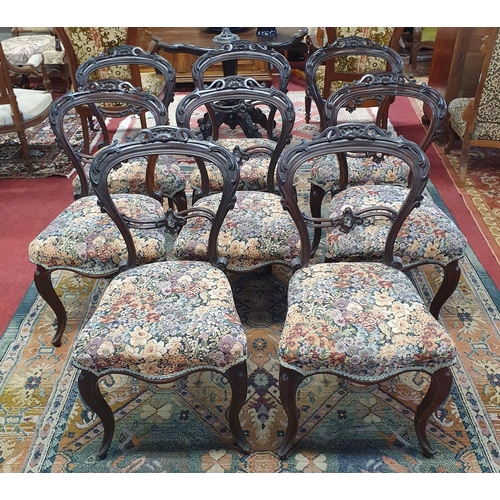 247 - A Superb set of eight 19th Century solid Rosewood Dining Chairs in superb condition with highly carv... 