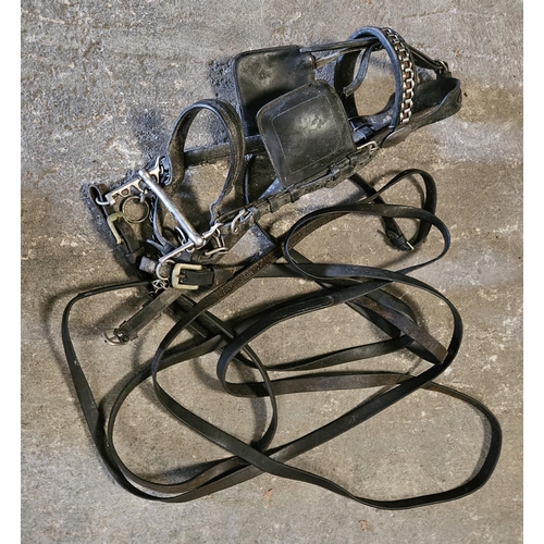 338 - A quantity of horse Tack.