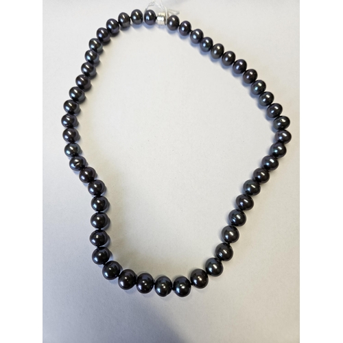 396 - A strand of Black Pearls with a Silver clasp.