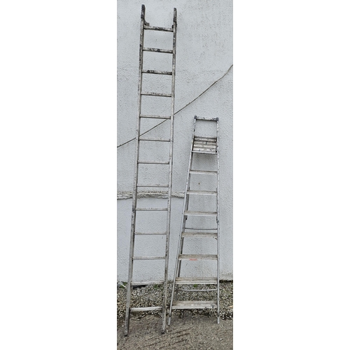 431 - An Apex step Ladder along with a single Aluminum Ladder.