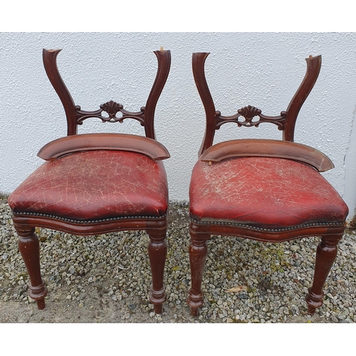 1422A - A pair of Mahogany dining chairs with leather seat, as found.