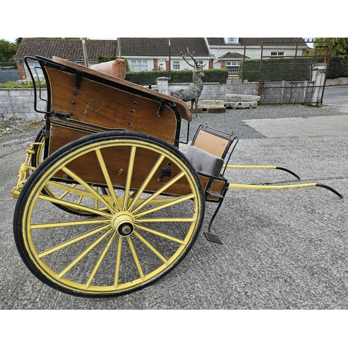 1441 - A really good 19th Century horse drawn Jaunting Cart.