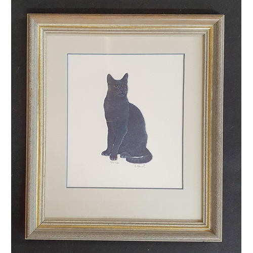 54 - A Limited Addition coloured Print of a Cat, indistinctly signed Lower Right. 30 x 28 cm approx.