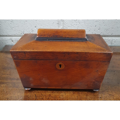 88 - A 19th Century Sarcophagus Shaped Tea Caddy with fitted interior. W 23 x H 16 x D 12 cm approx.