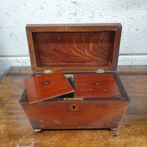 88 - A 19th Century Sarcophagus Shaped Tea Caddy with fitted interior. W 23 x H 16 x D 12 cm approx.